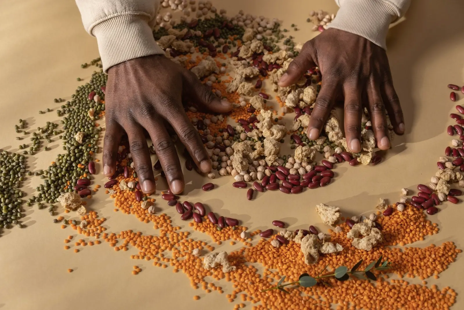 Hands spreading beans, peas and grains across a table