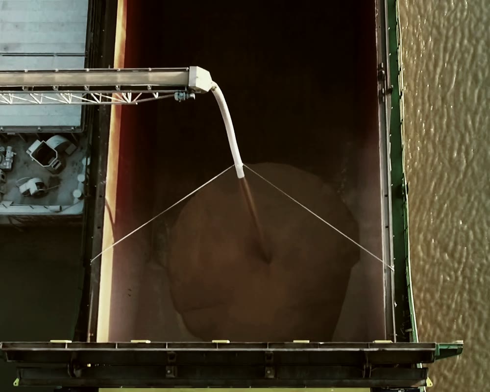Top-down view of a loading spout pouring grain into a ship's open hold